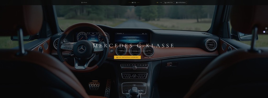 MVS Company Screenshot